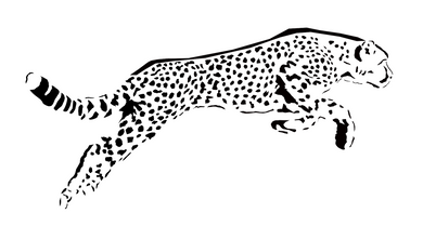 2021-05-28-1 Cheetah - periwinkle-laser